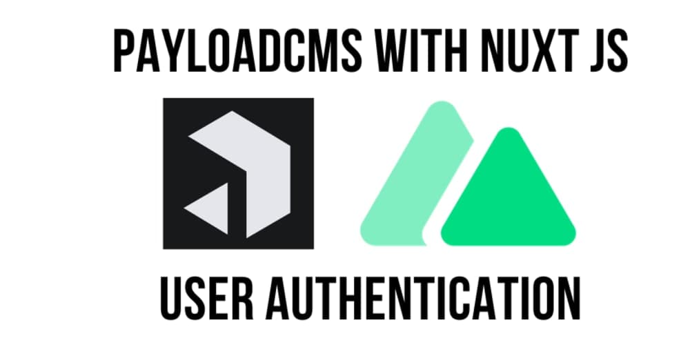 Payload CMS -Authentication in Nuxt Using a Custom Plugin cover image